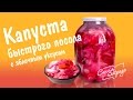 Капуста быстрого посола с яблочным уксусом