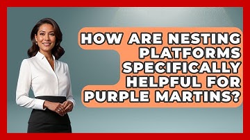 How Are Nesting Platforms Specifically Helpful For Purple Martins? - Bird Watching Diaries