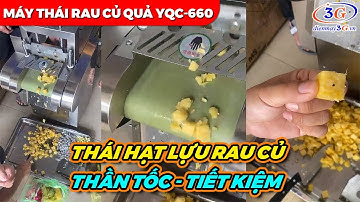 Máy Thái Dứa Hạt Lựu, Thái Rau Củ Quả Đa Năng Lát/ Sợi| Điện Máy 3G