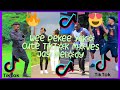Jay melody - wee peke Yako cute 😘❤️🔥🔥🔥 TikTok moves || @JayMelody || TikTok compilations