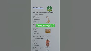 Anatomy Quiz 2