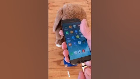 Lector Chips FDX-B Mascotas Perros Gatos para Teléfono Android con OTG USB tipo C