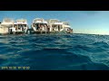 Red Sea Apnea Diving