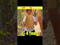पेड़ की छाल #shorts #facts