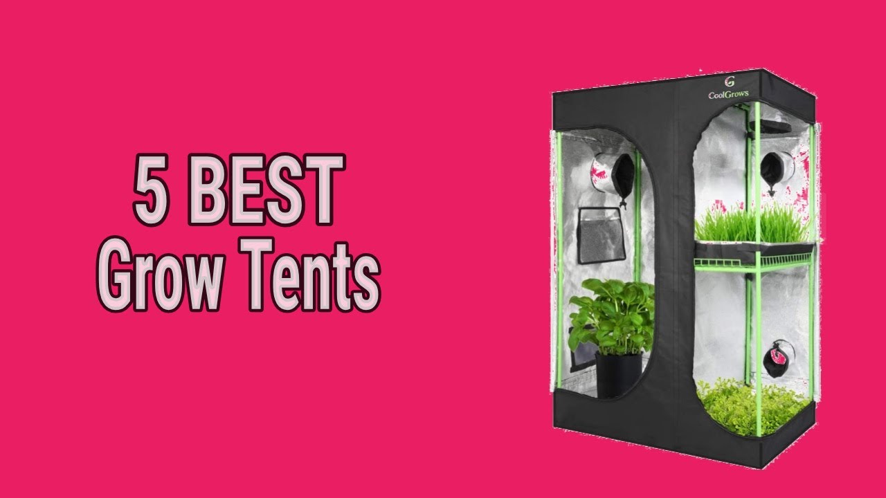 5 Best Grow Tents
