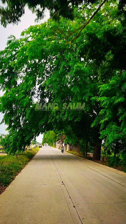 Sore hari di toang layapan karawang #karawang #toanglayapan