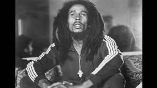 bob marley and the wailers One Drop instrumental inedit 1