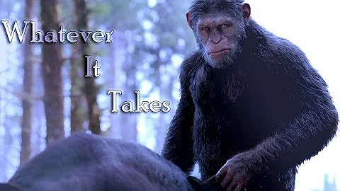 Caesar (Planet of the Apes): "Whatever It Takes"