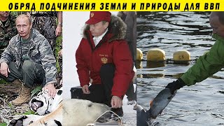 ШАМАНСКИЕ ОБРЯДЫ ПУТИНА! ВОТ ПОЧЕМУ ПРЕССУЮТ АЛЕКСАНДРА ГАБЫШЕВА И ЛЁХУ КОЧЕГАРА!