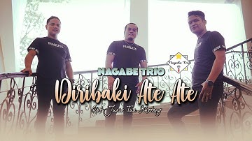 NAGABE TRIO || DIRIBAKI ATE-ATE || CIPT : JUARA TUA SIHOTANG ( OFFICIAL MUSIC VIDEO )