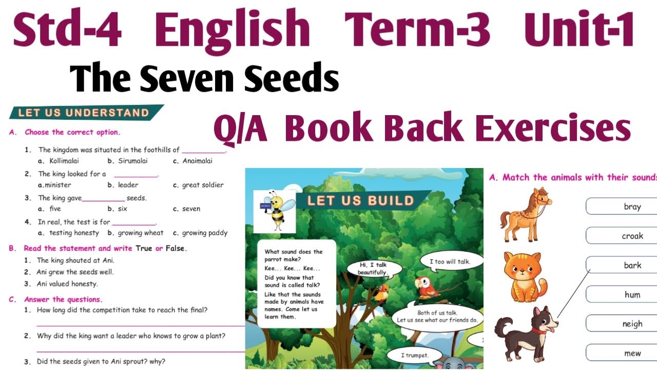 4th-std-english-term-3-unit-1-the-seven-seeds-book-back-question-and-answers-let-us-build
