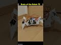 What is Raspberry Pi in Robotics? 🤖💻 | Mini Computer Explained Simply