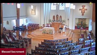 11AM Mass,The Solemnity of the Most Holy Trinity