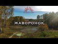 Бабкины внуки - Жаворонок (audio) Russian folk music | Lark