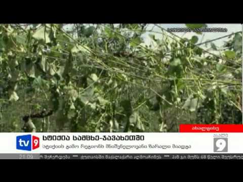 ახალი 9 | სტიქია სამცხე-ჯავახეთში | 19.07.12
