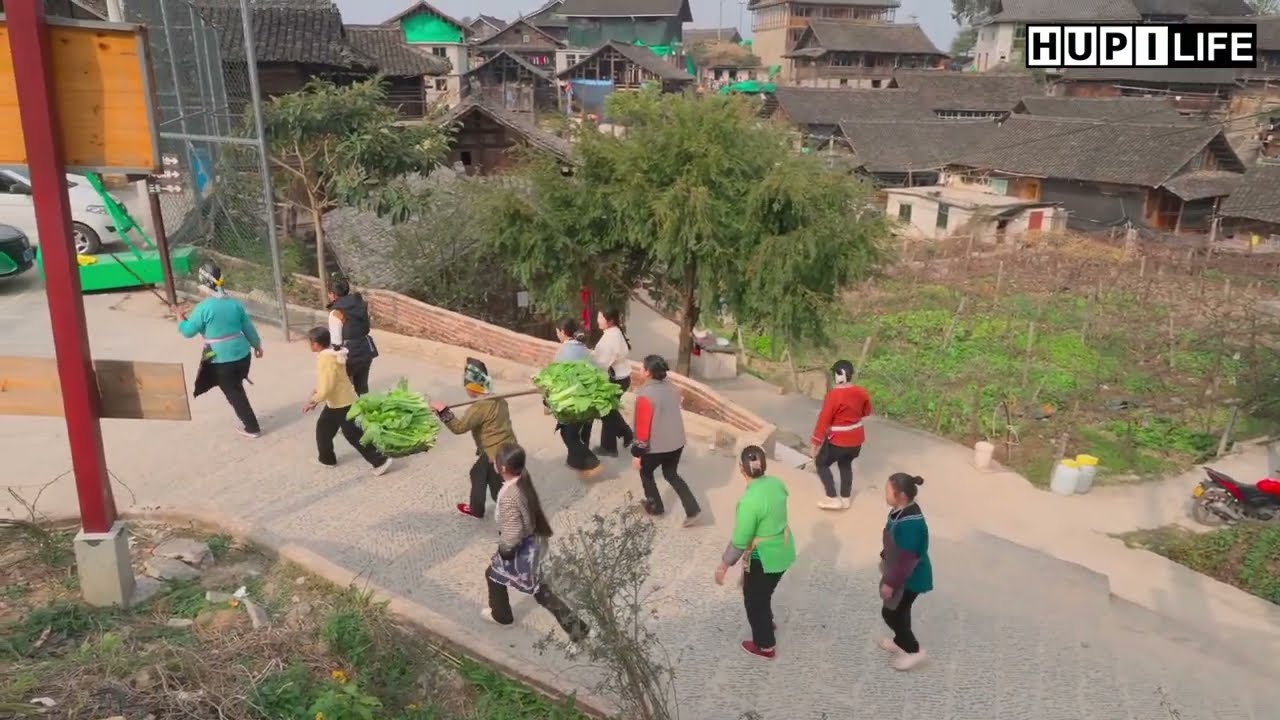 Country Life | Discover Scenery & Real Life Everyday in China Countryside 