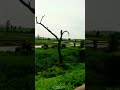 beautiful song hindi | beautiful #naturelovers