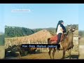 Кыргызские девушки, мы вас любим. Kyrgyz girls