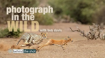 Photograph in the Wild with Canon Explorer of Light Bob Davis