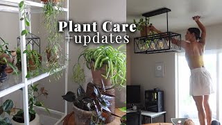 My Life with Houseplants Vlog - plant care, camping & more!