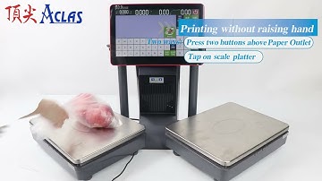 ILP7 Dual-Platform Ai Label Scale