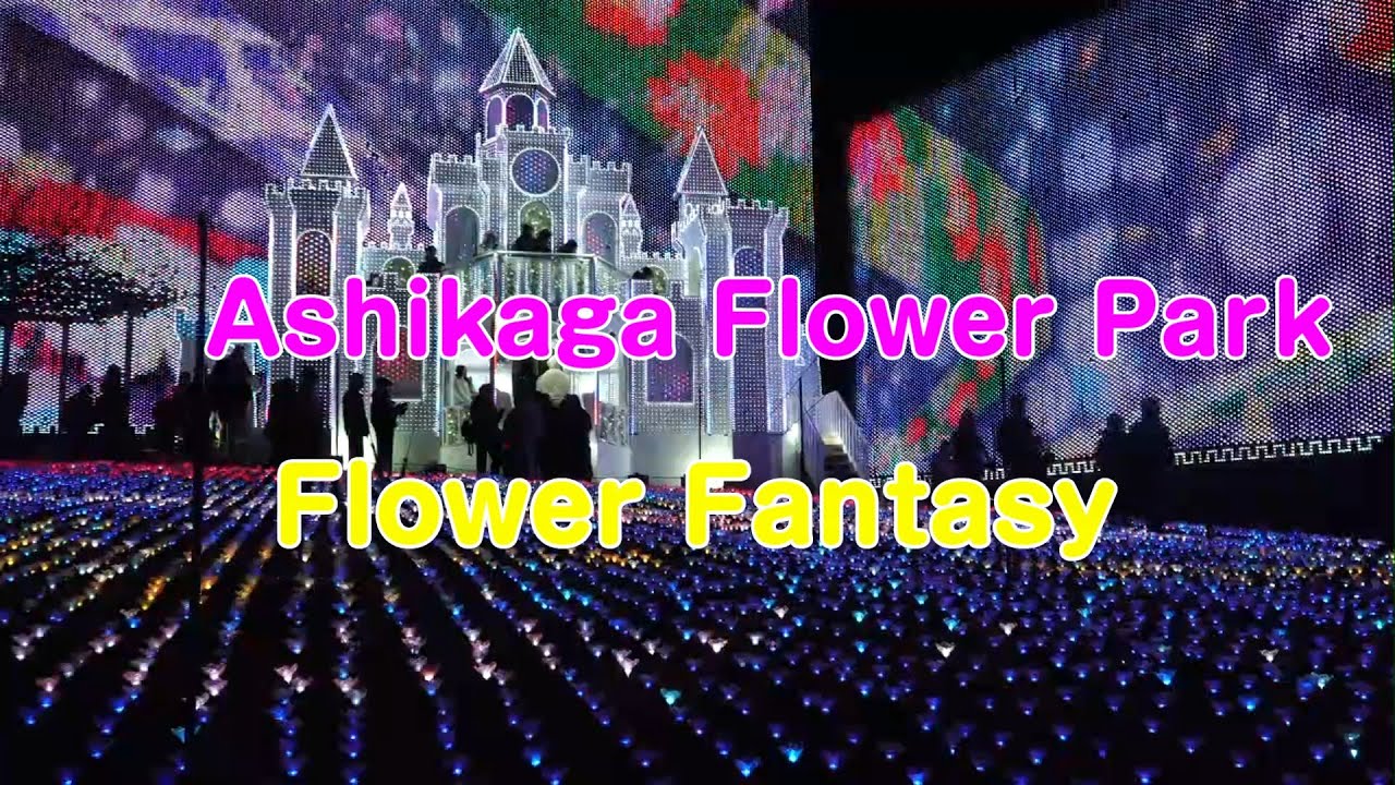 2026あしかがフラワーパーク flower castle - YouTube