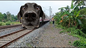 Dangerous DOG Headed Howrah-Katwa ICF Emu Local Train Departure At Balagarh