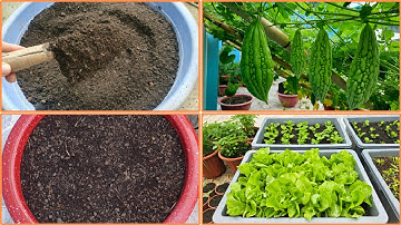 Cách trộn đất trồng gì cũng tốt