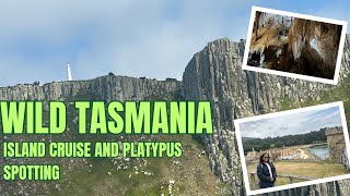 Epic Tasmania Finale |Tasman Island Cruise, Hastings Caves & Tree Top Walk | Tasmania Trip Episode 4