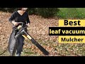 Top 5 Best Leaf Vacuum Mulchers Reviews 2022