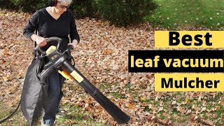 Top 5 Best Leaf Vacuum Mulchers Reviews 2023