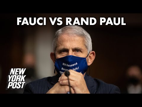 Fauci and Rand Paul clash over Cuomo, NY handling of COVID-19 | New York Post