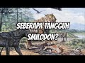Kucing Purba Bertaring pedang - SABERTOOTH TIGER