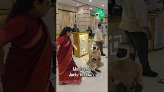 monkeyman Jacky Wadhvani #comedy #facebook #gujarat #monkeylove #india #instagram #monkeylove #jacky
