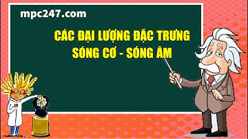 Sóng cơ và các đại lượng đặc trưng của sóng cơ, vật lí 12 dễ hiểu