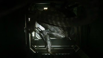 In the Floor Vents with the Alien