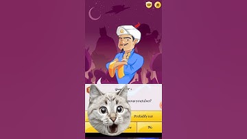 what happen then I only say probably not  to  Akinator  what will he search #akinator #shortvideo