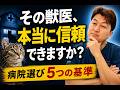 【FIP治療】信頼できる獣医の見分け方。5つの基準を獣医師が本音で解説|第166話@猫伝染性腹膜炎