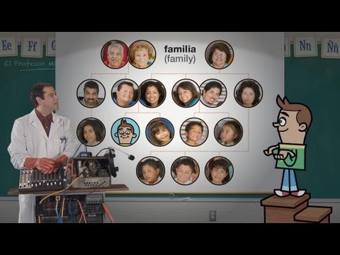 Vídeo: Quan és El Dia De La Família