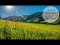 令和6年6月時事解説・時局分析｜藤原直哉理事長（収録版）202406