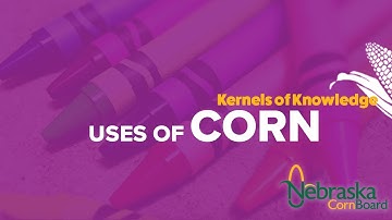Uses Of Corn - Kernels of Knowledge🌽