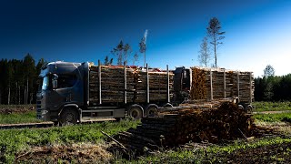 Very Hot and Dry weather for Timber Loading