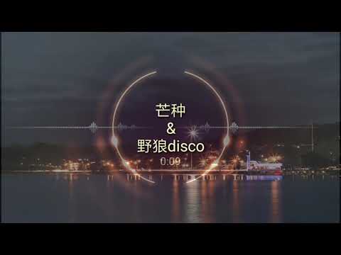 芒种&野狼disce 抖音最近火两首洗脑歌！一起来听吧！