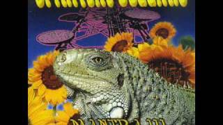 Spiritual Beggars - Superbossanova