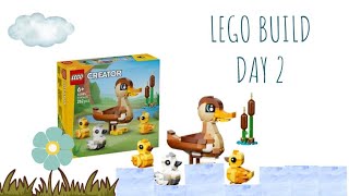 Building a LEGO Duck Family Day 2 || Build Your Own Ducks With LEGO