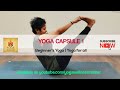 Yoga capsule 1 yoga for beginners  yoga wellness center