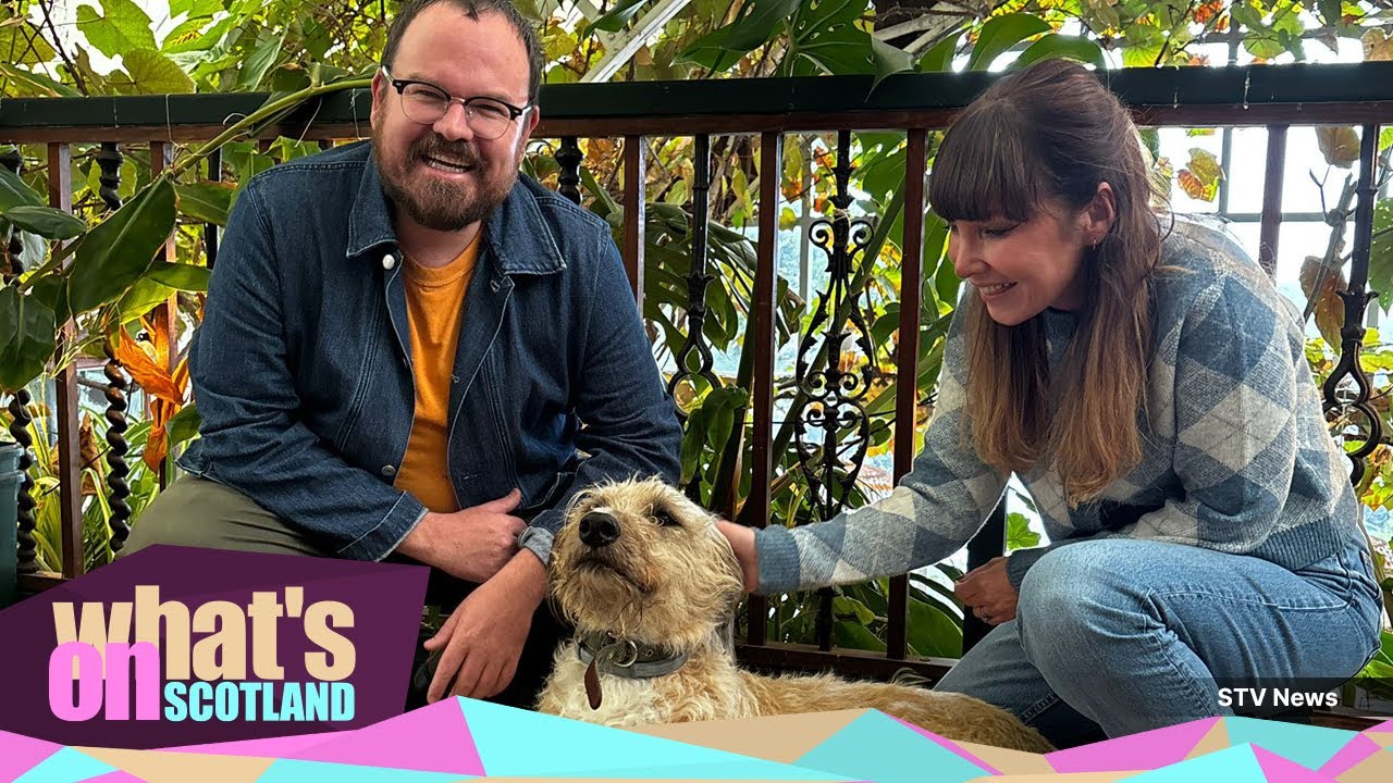 Миссия Banjo Beale — раскрыть сердце шотландского дизайна 