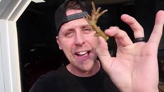 Roman Atwood Vlogs We Waited 5 Years For This