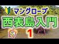 【超初心者向け】初めて西表島のマンブローブ・フライフィッシングさぁ 1〜キャスト編