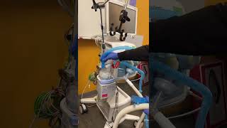 #Mechanical Ventilation‼️‼️ First time setting up the drager Ventilator ☺️
